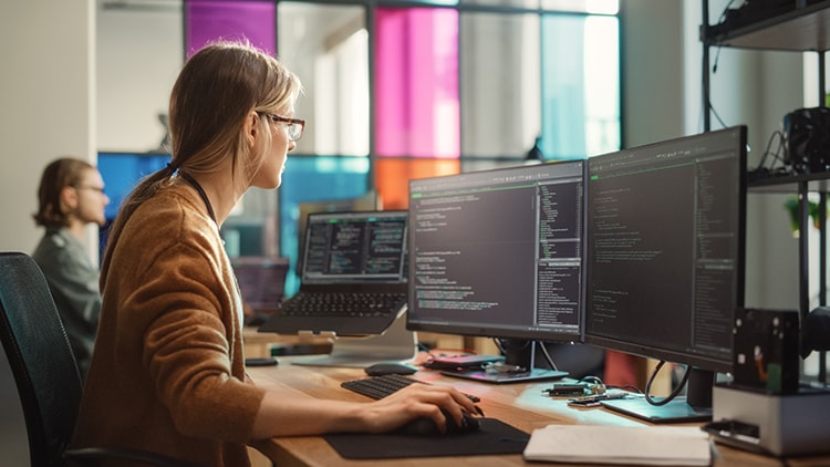 Cisco Catalyst SD-WAN for Government